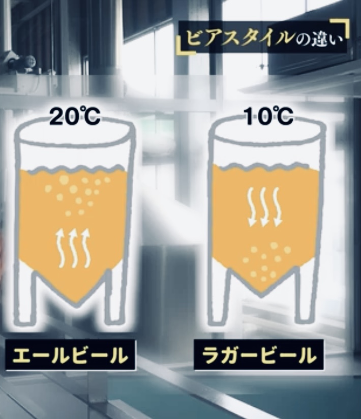 エールビールとラガービールの発酵温度